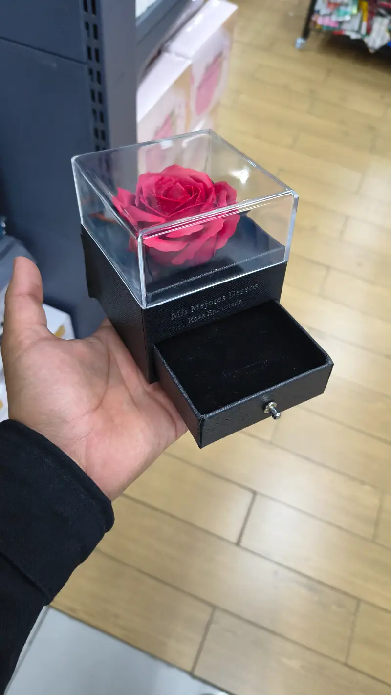 Rosa Eterna Encantada