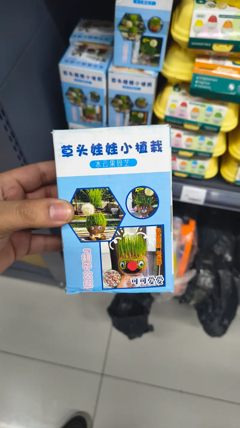 Maceta Muñeco Cabeza de Hierba