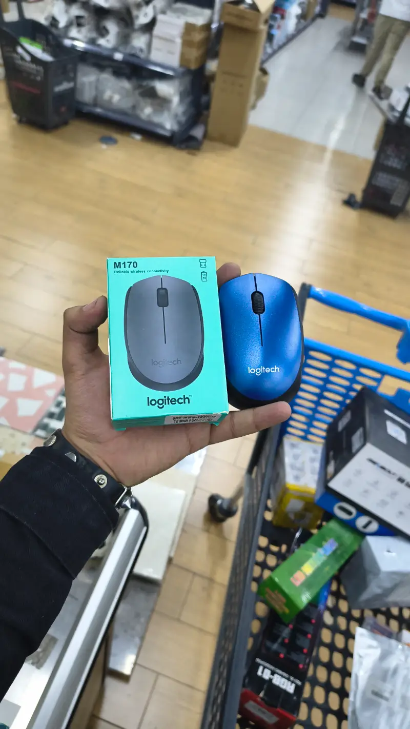 Mouse Logitech M170